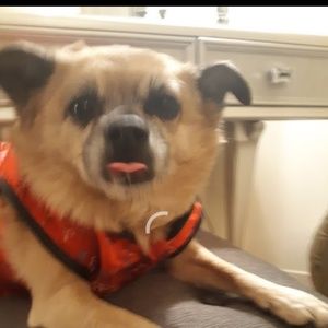 Meet your Posher, Haley